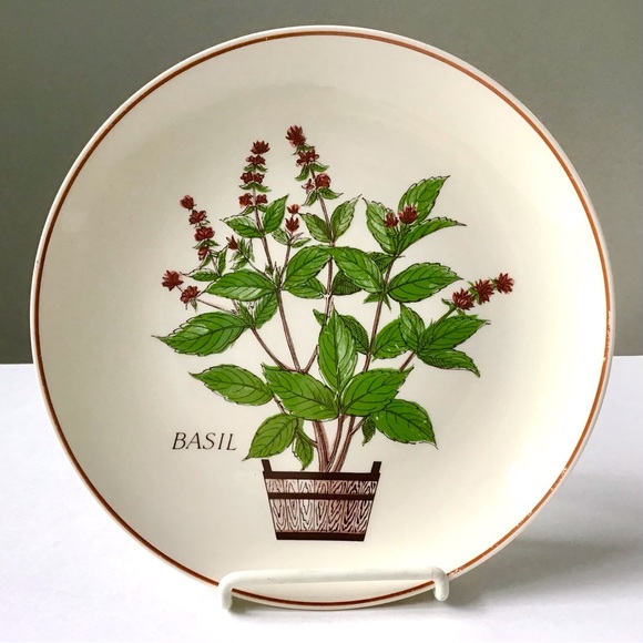 Vintage Basil Herb Decorative Lunch Salad Plate 8.25” Farmhouse Cottage Garden - Picture 1 of 4
